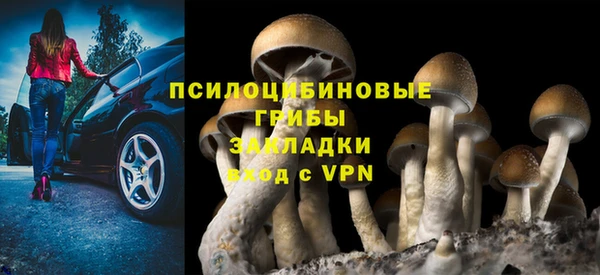 мяу мяу мука Алзамай